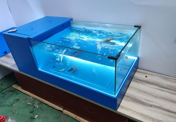 合肥海鲜池安装